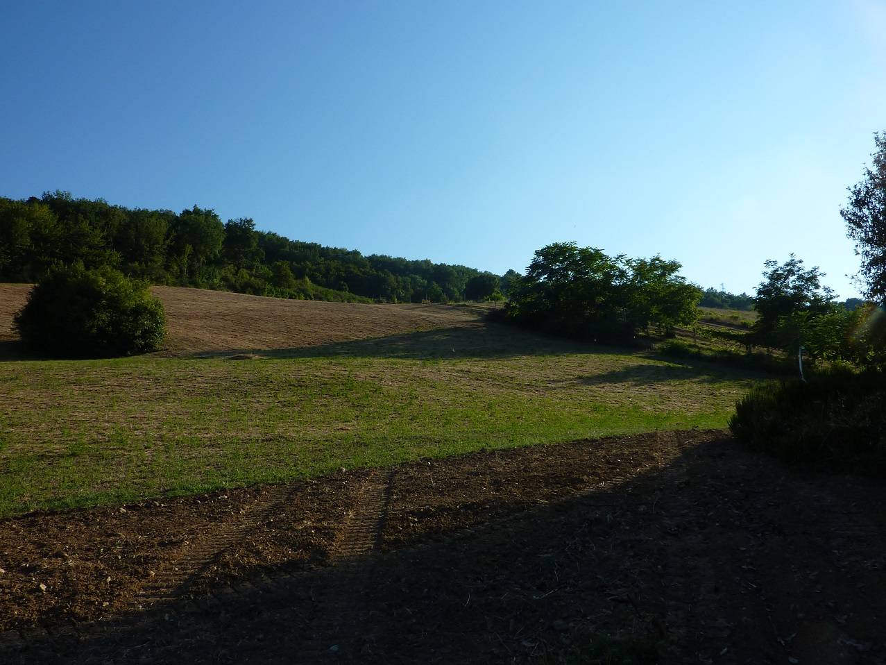 Terreno Agricolo in vendita a Ripatransone