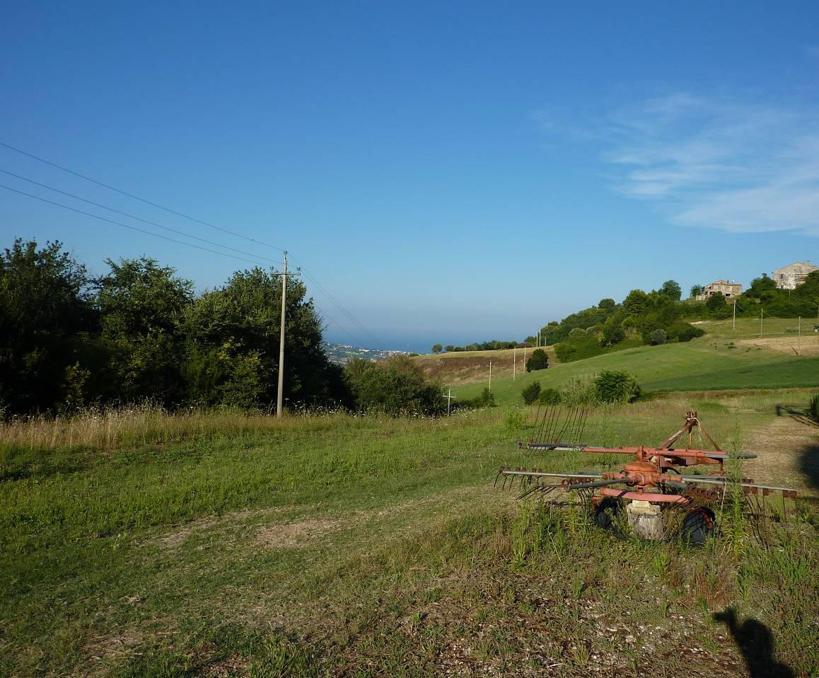 Terreno Agricolo in vendita a Ripatransone