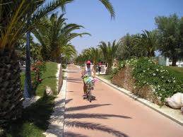 Locale commerciale in affitto a San Benedetto del Tronto