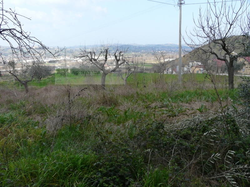 Casolare in vendita a Torano Nuovo