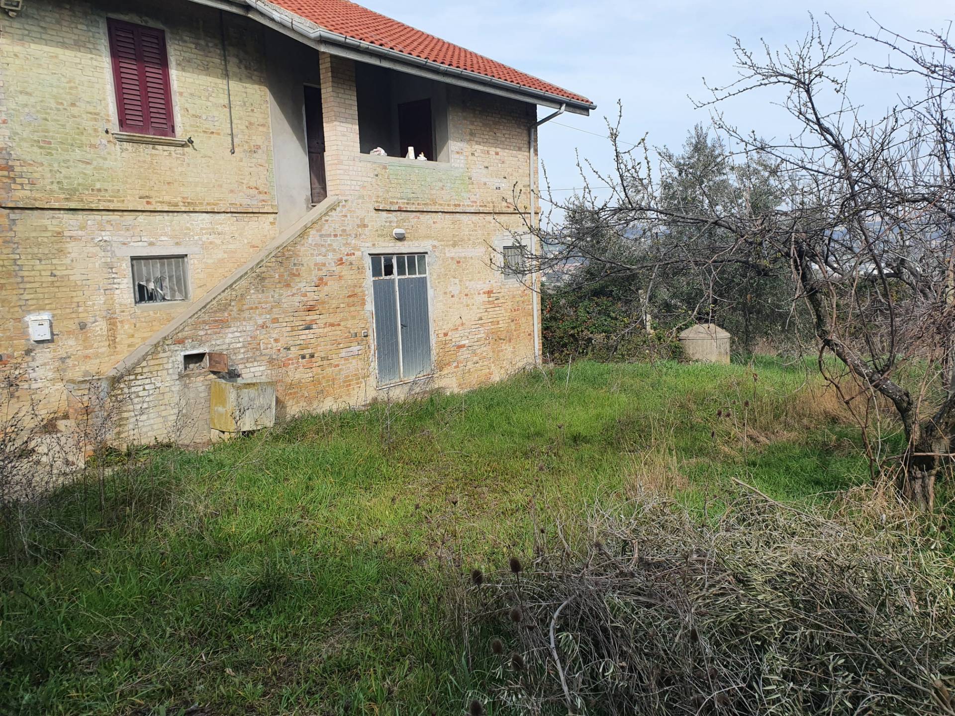 Terreno Agricolo in vendita a Controguerra