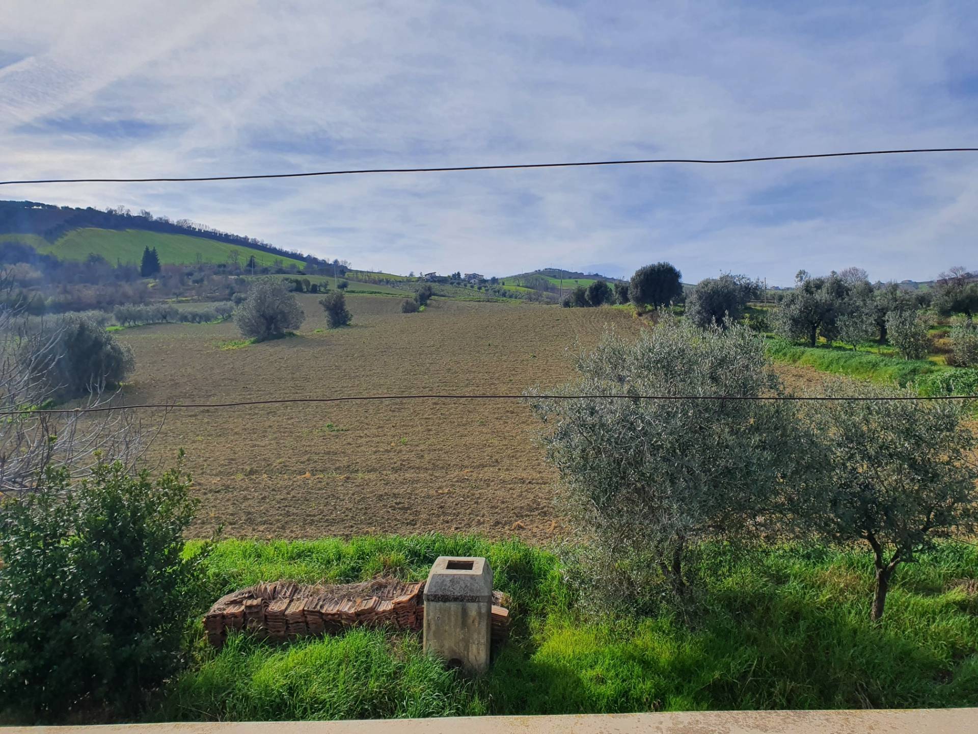 Terreno Agricolo in vendita a Controguerra