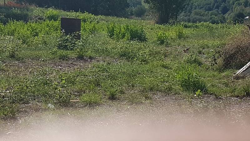 Terreno edificabile in vendita a San Benedetto del Tronto