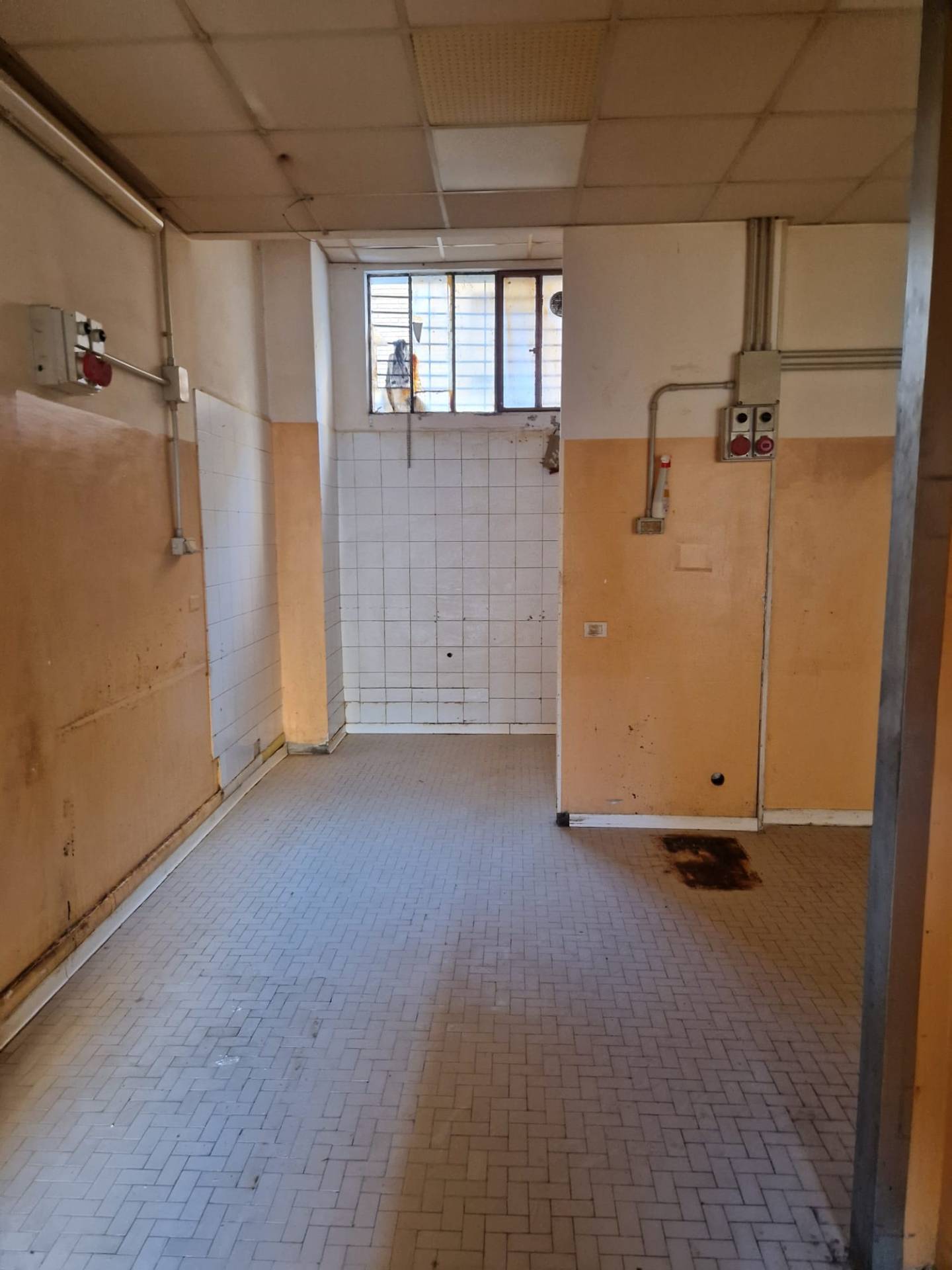 Locale commerciale in affitto a San Benedetto del Tronto