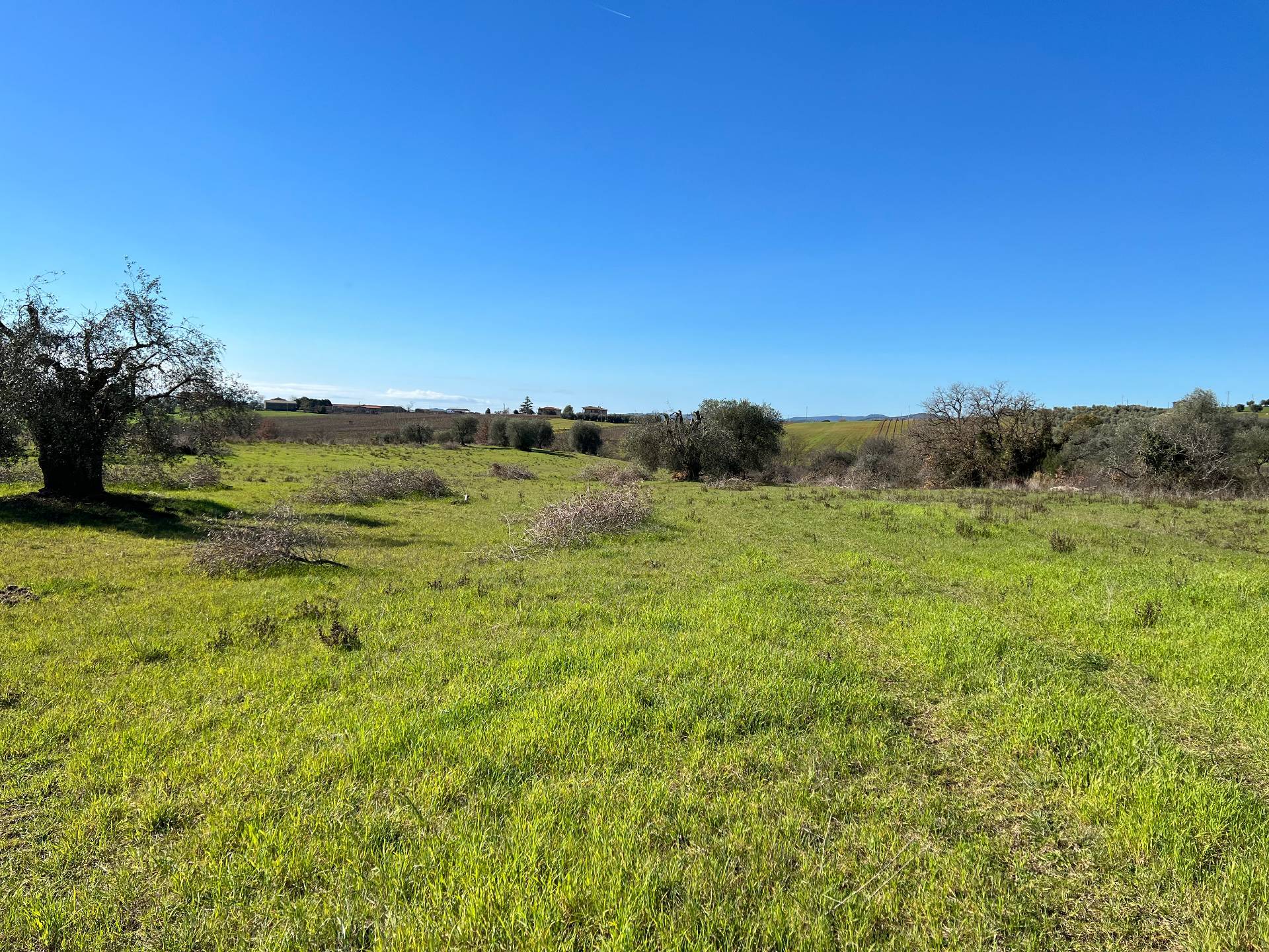 Rustico/Casale/Corte in vendita a Magliano in Toscana