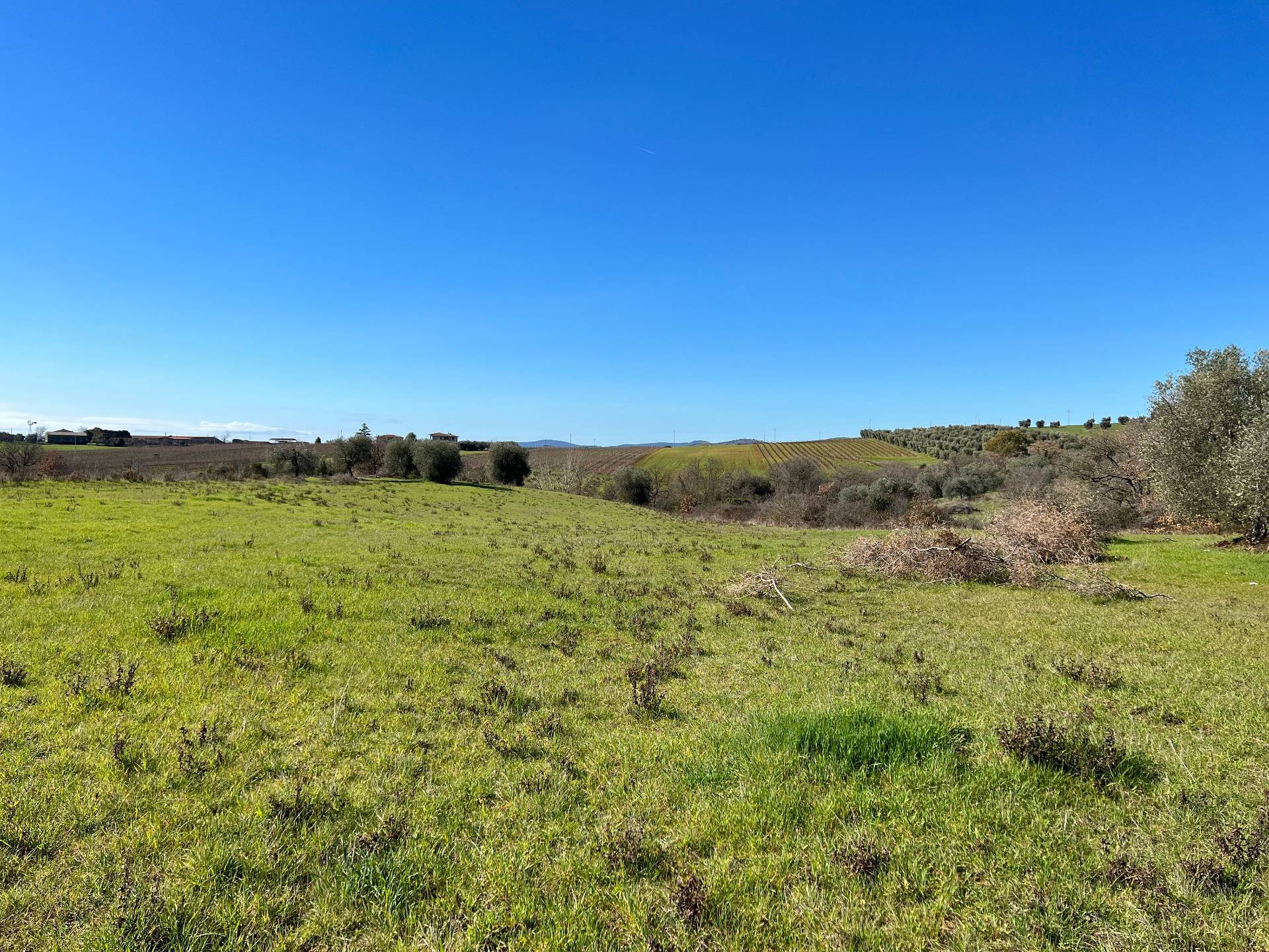 Rustico/Casale/Corte in vendita a Magliano in Toscana