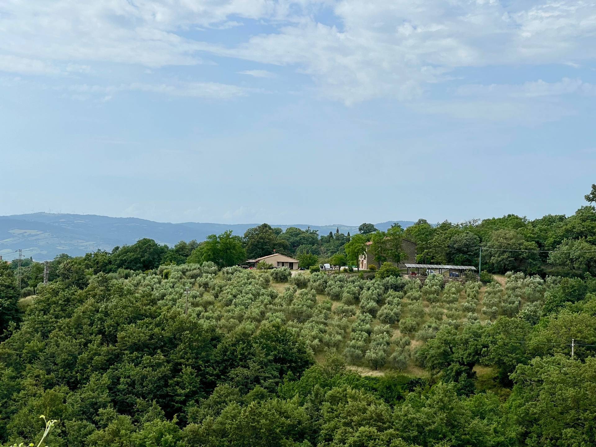 Rustico/Casale/Corte in vendita a Manciano