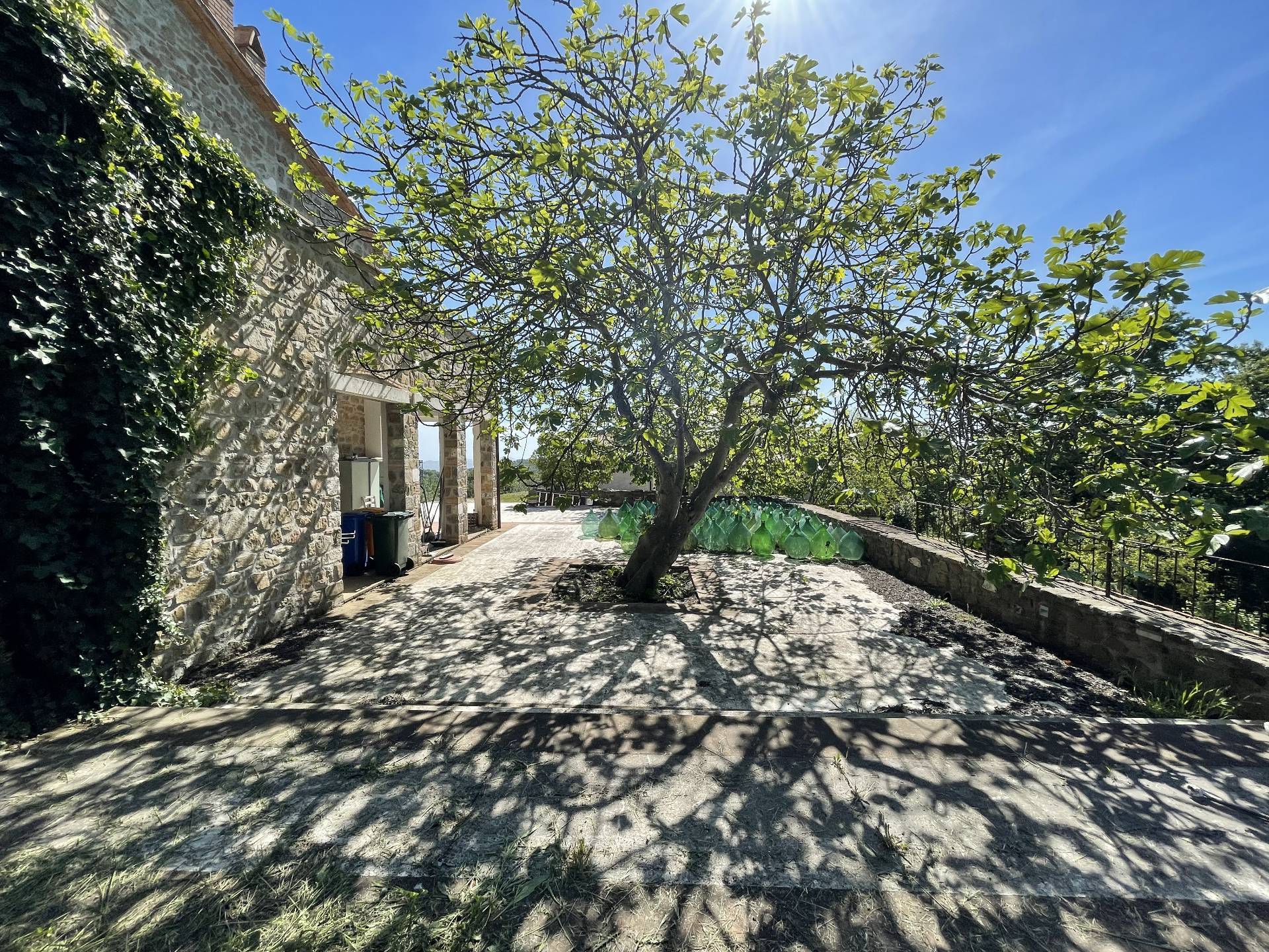 Rustico/Casale/Corte in vendita a Manciano