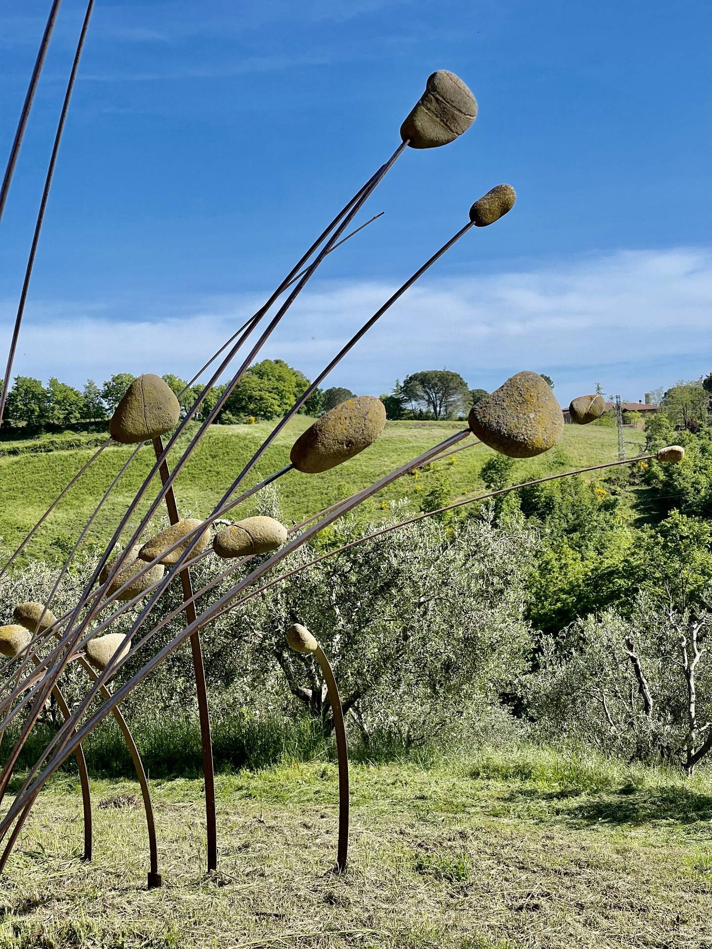 Rustico/Casale/Corte in vendita a Manciano