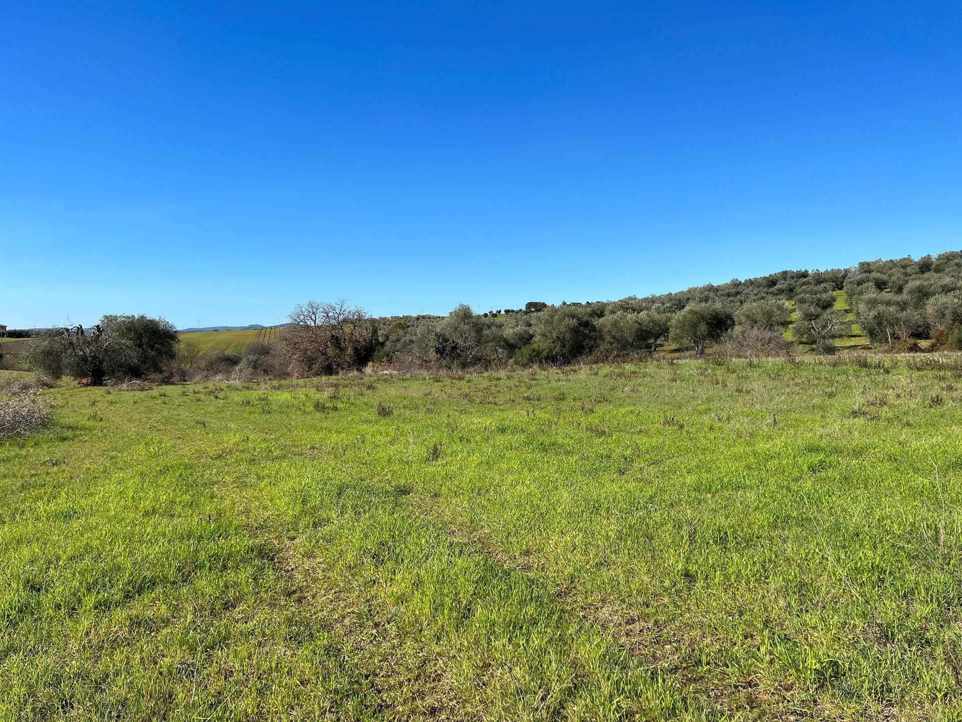 Rustico/Casale/Corte in vendita a Magliano in Toscana