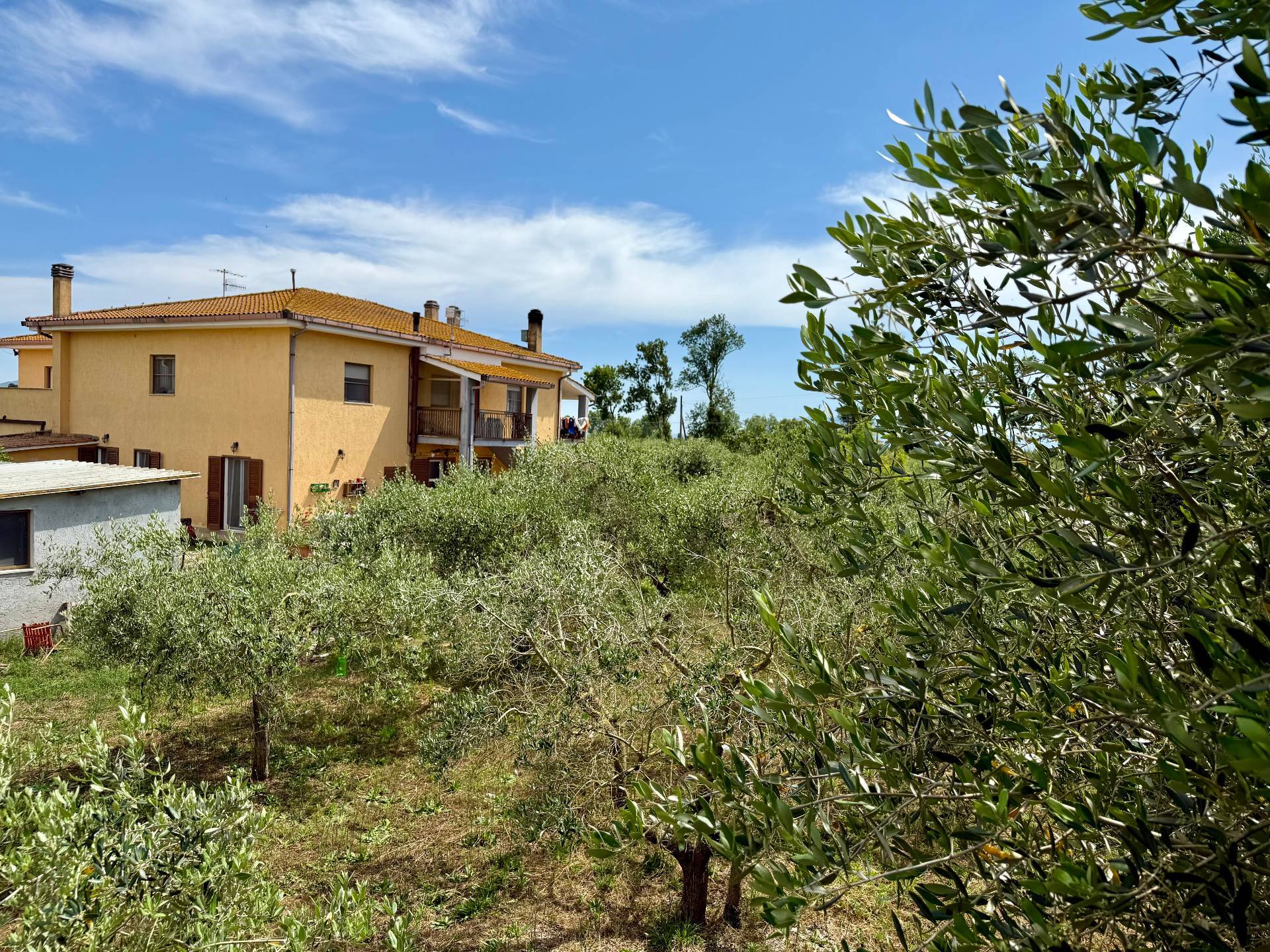 Appartamento indipendente in vendita a Orbetello, San Donato