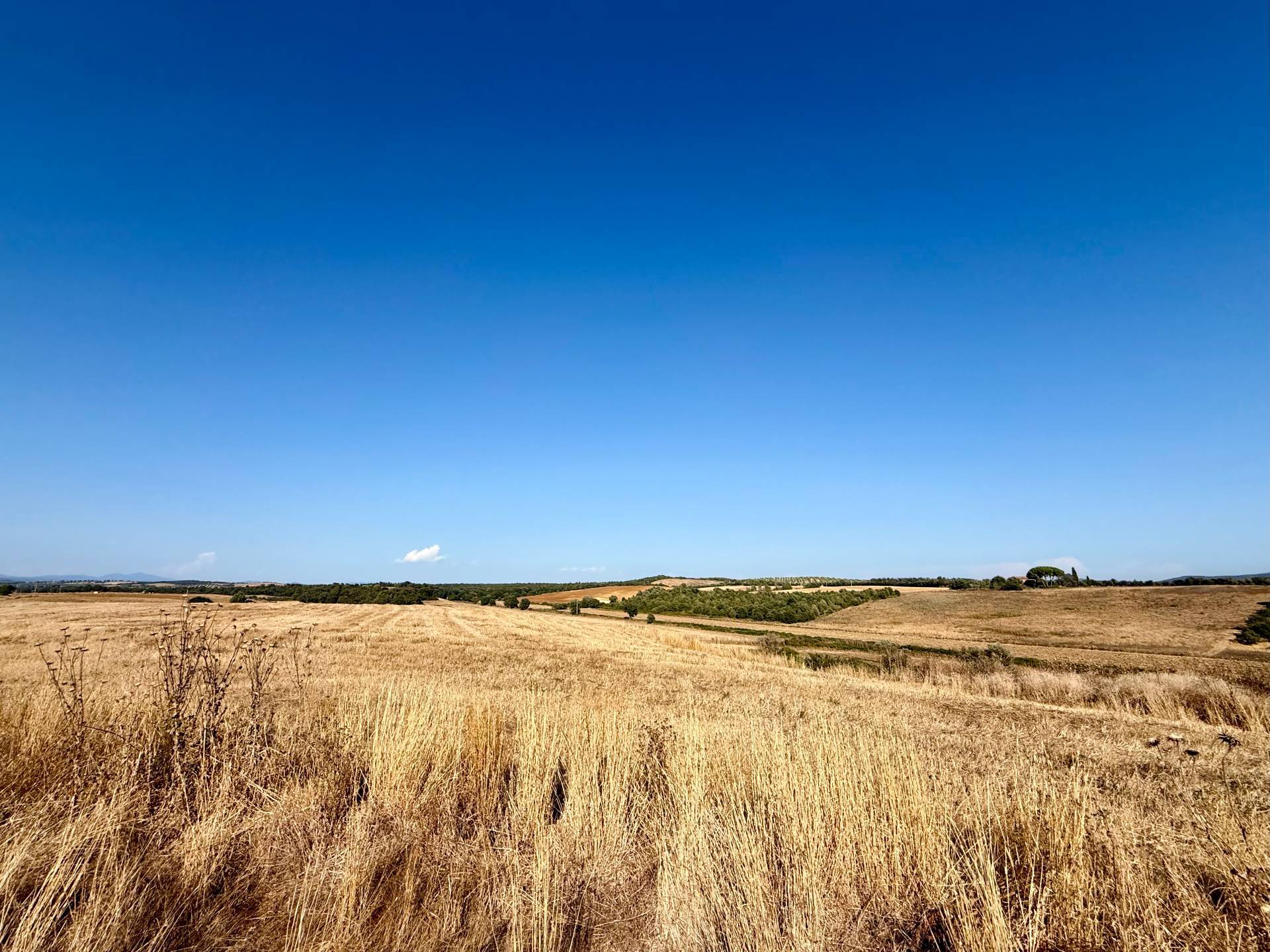 Villa storica in vendita a Magliano in Toscana
