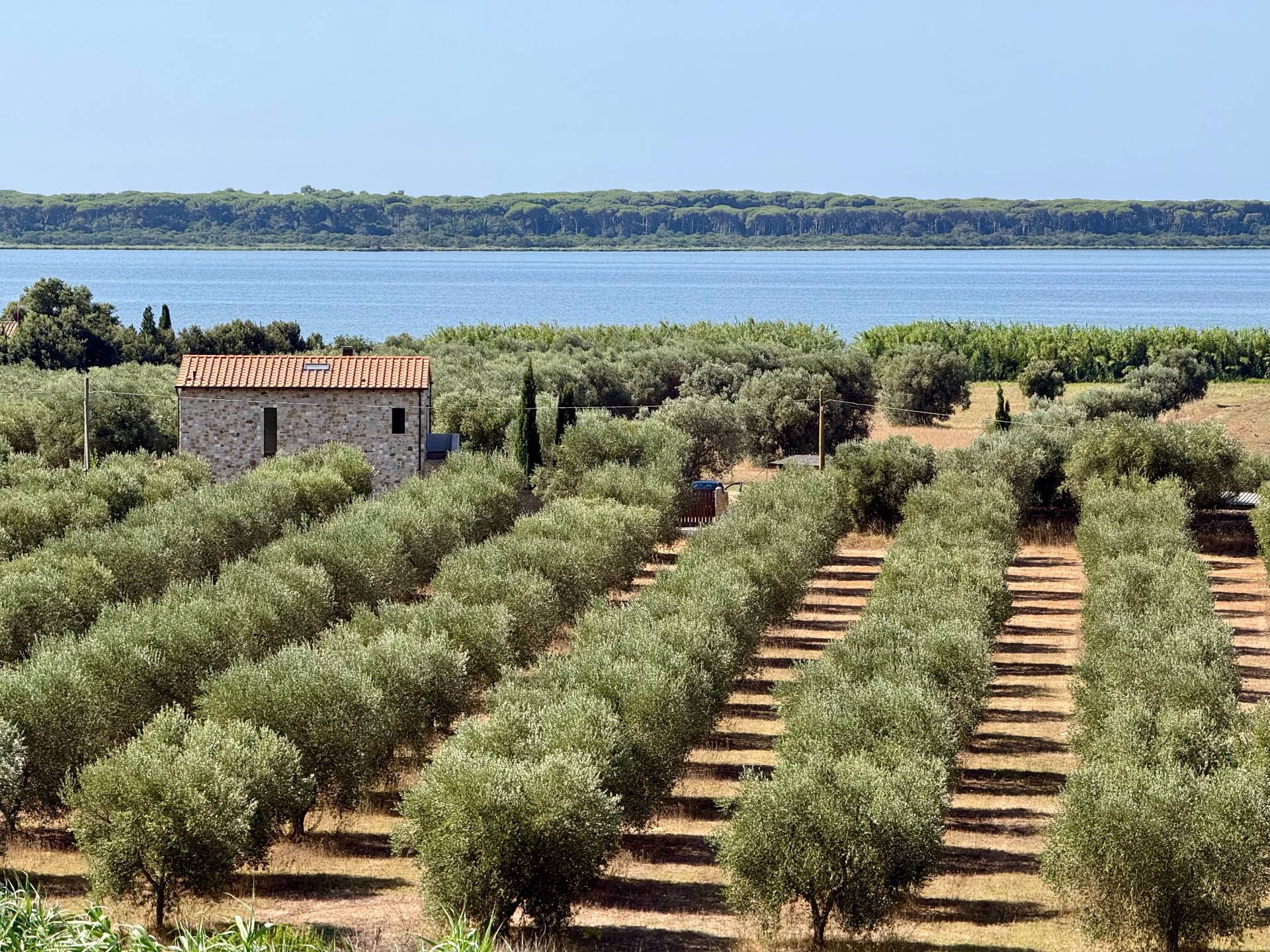 4 o pi locali in vendita a Orbetello, Orbetello Scalo