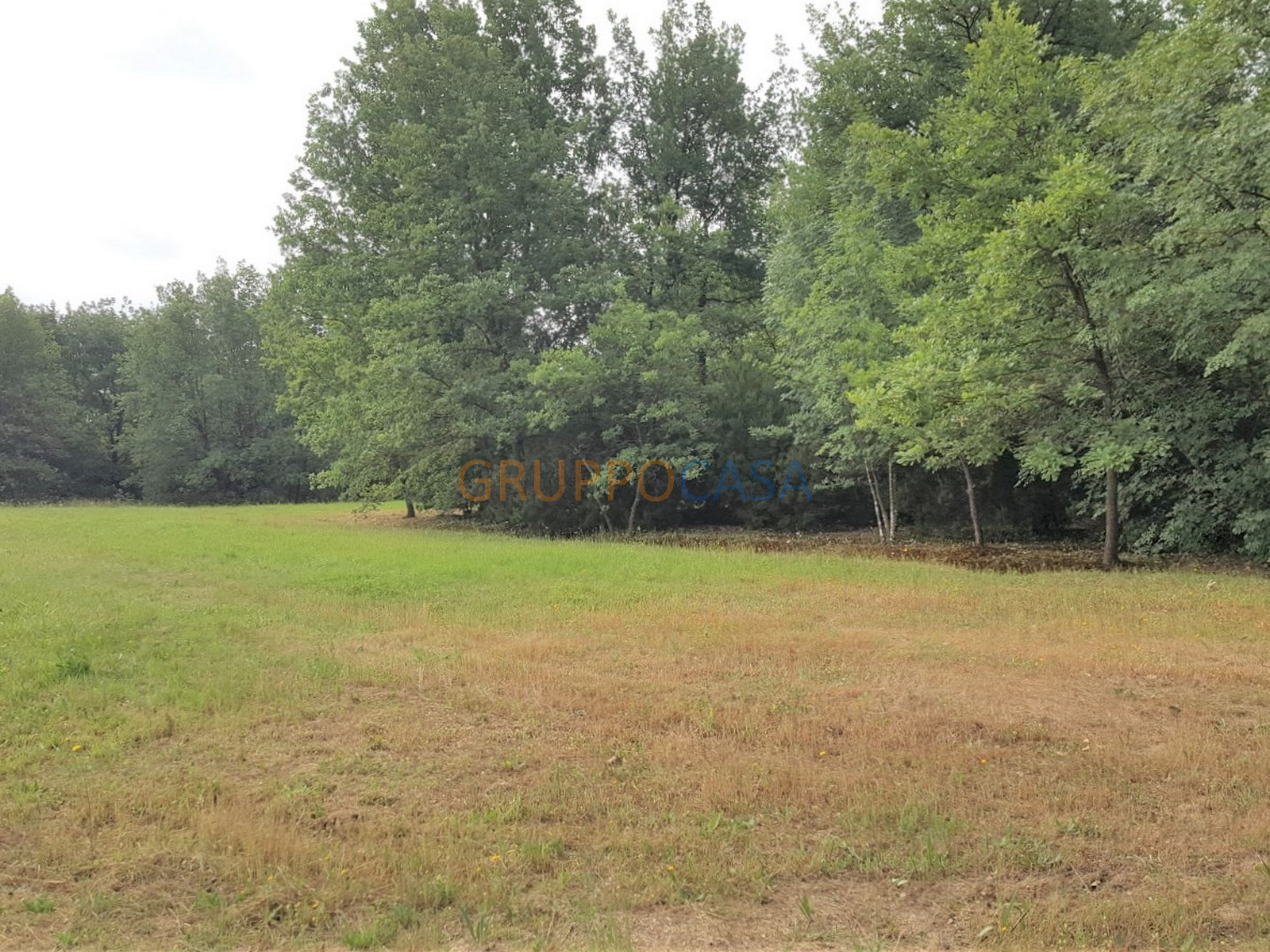 Terreno Agricolo in vendita a Altopascio, Centro