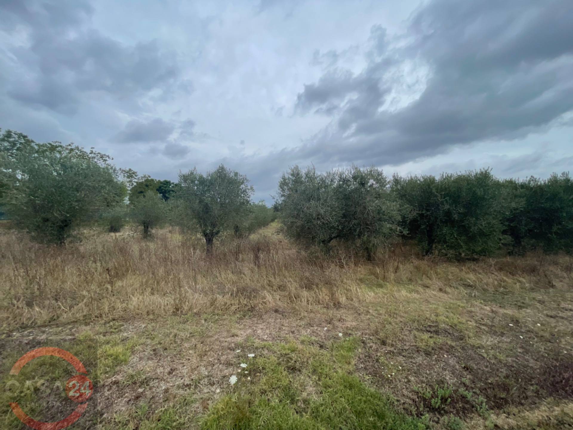 Terreno Agricolo in vendita a Latina, Borgo Carso