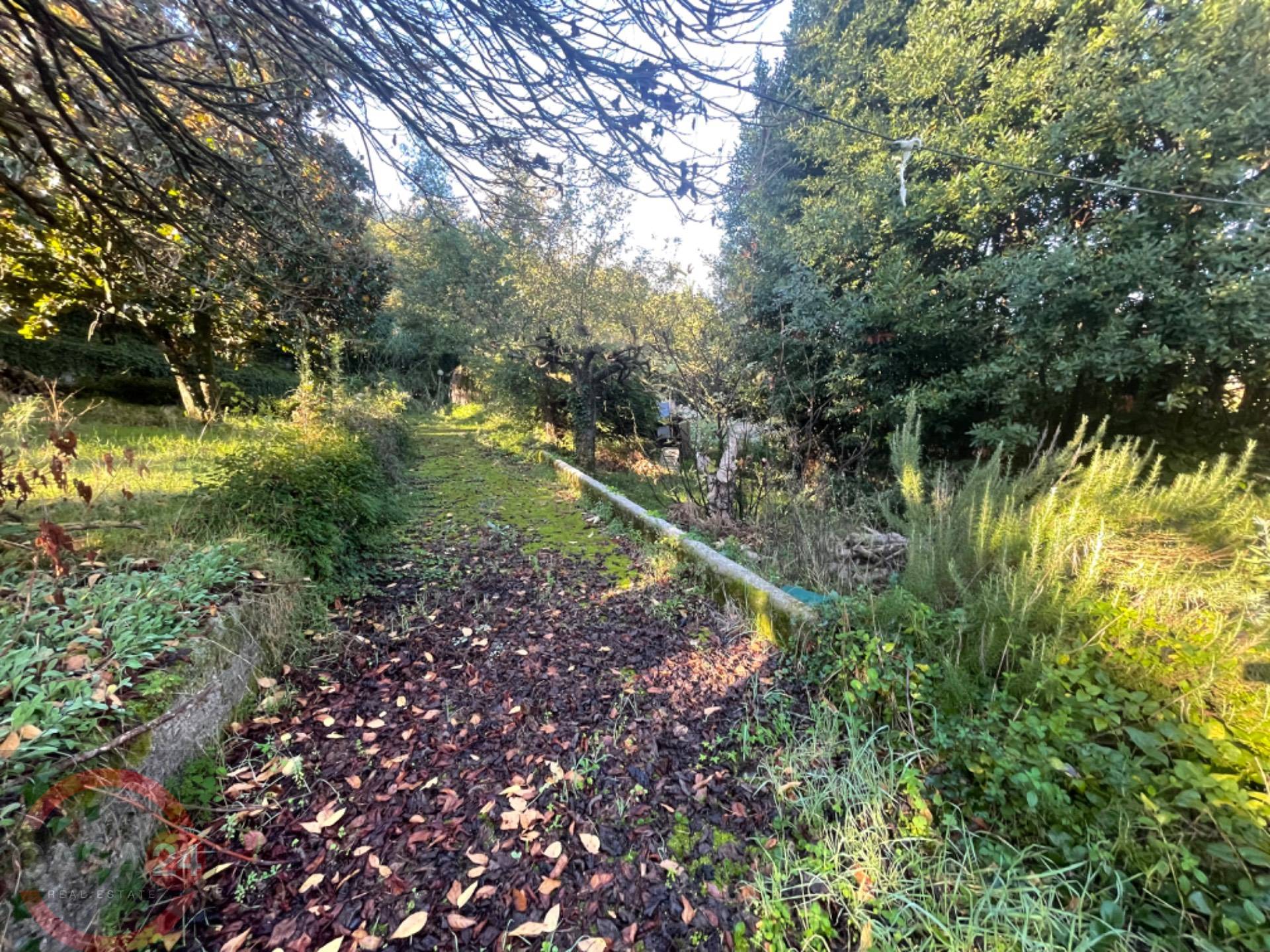 Villette a schiera in vendita a Sezze