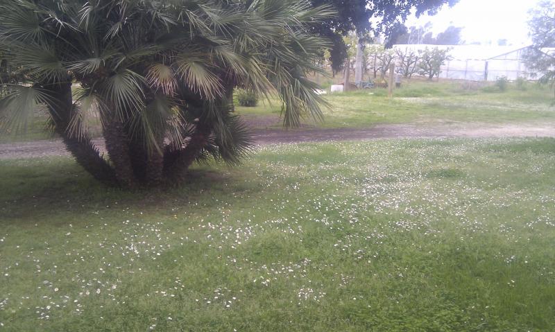 Villa in vendita a Latina, Borgo Santa Maria