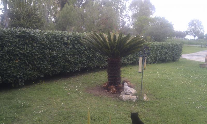 Villa in vendita a Latina, Borgo Santa Maria