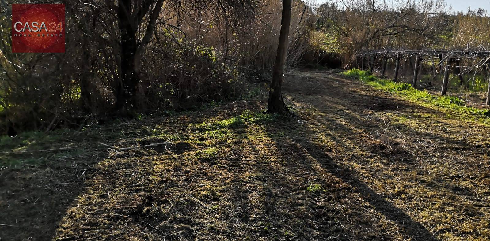 Terreno Agricolo in vendita a Cori