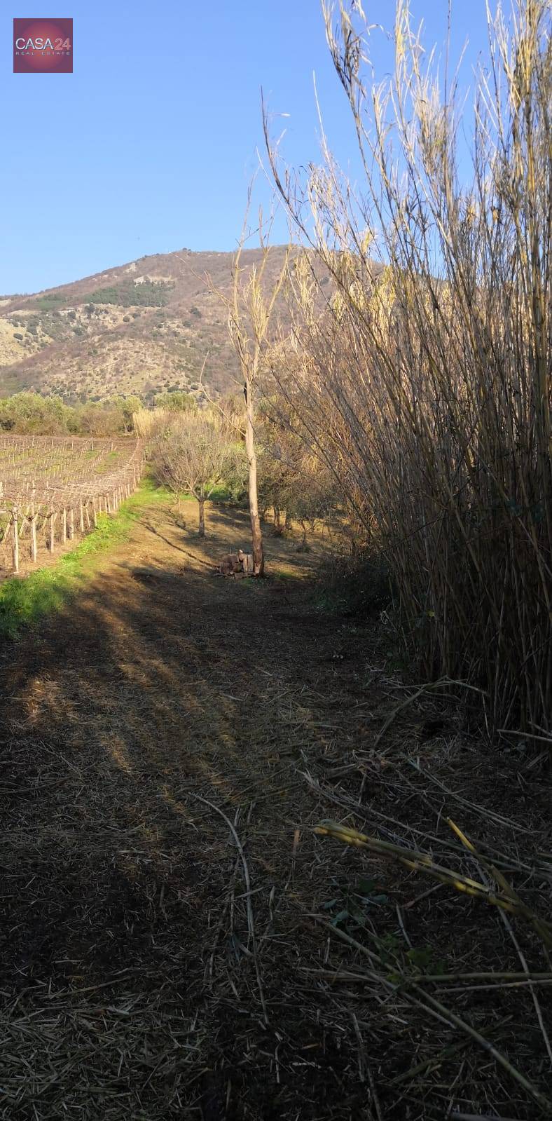 Terreno Agricolo in vendita a Cori