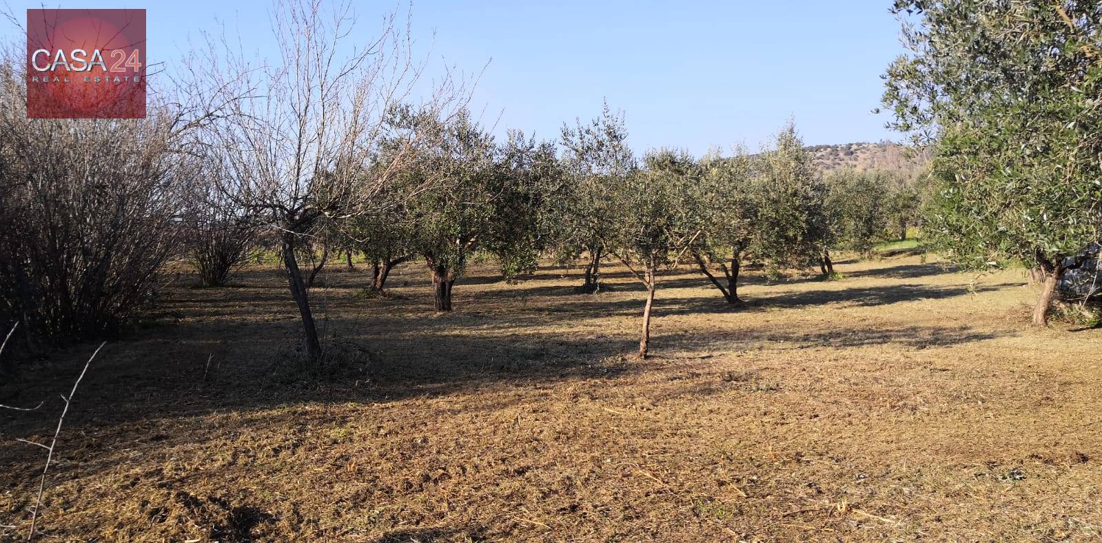 Terreno Agricolo in vendita a Cori