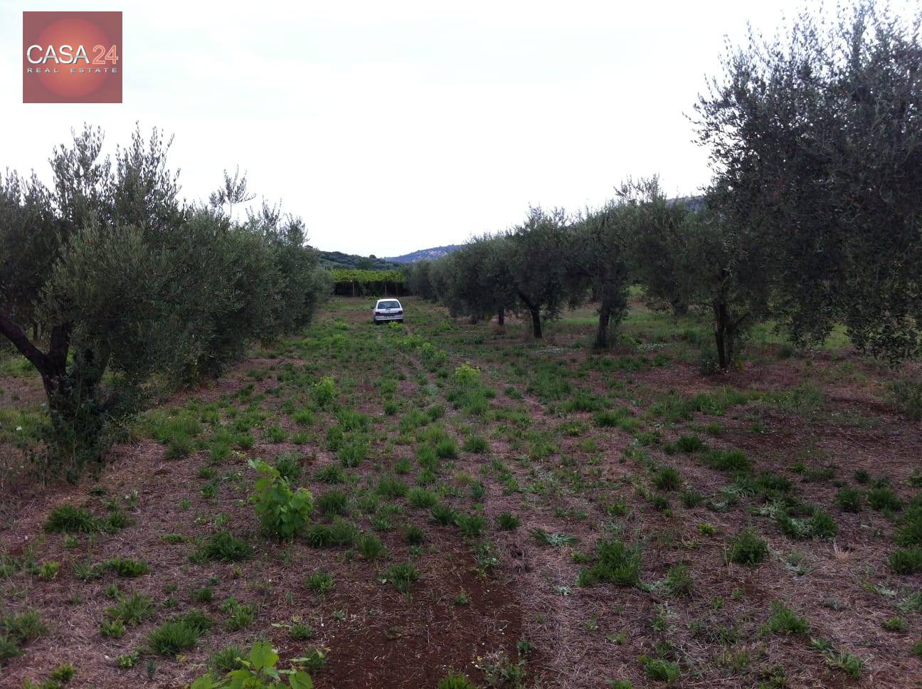 Terreno Agricolo in vendita a Cori