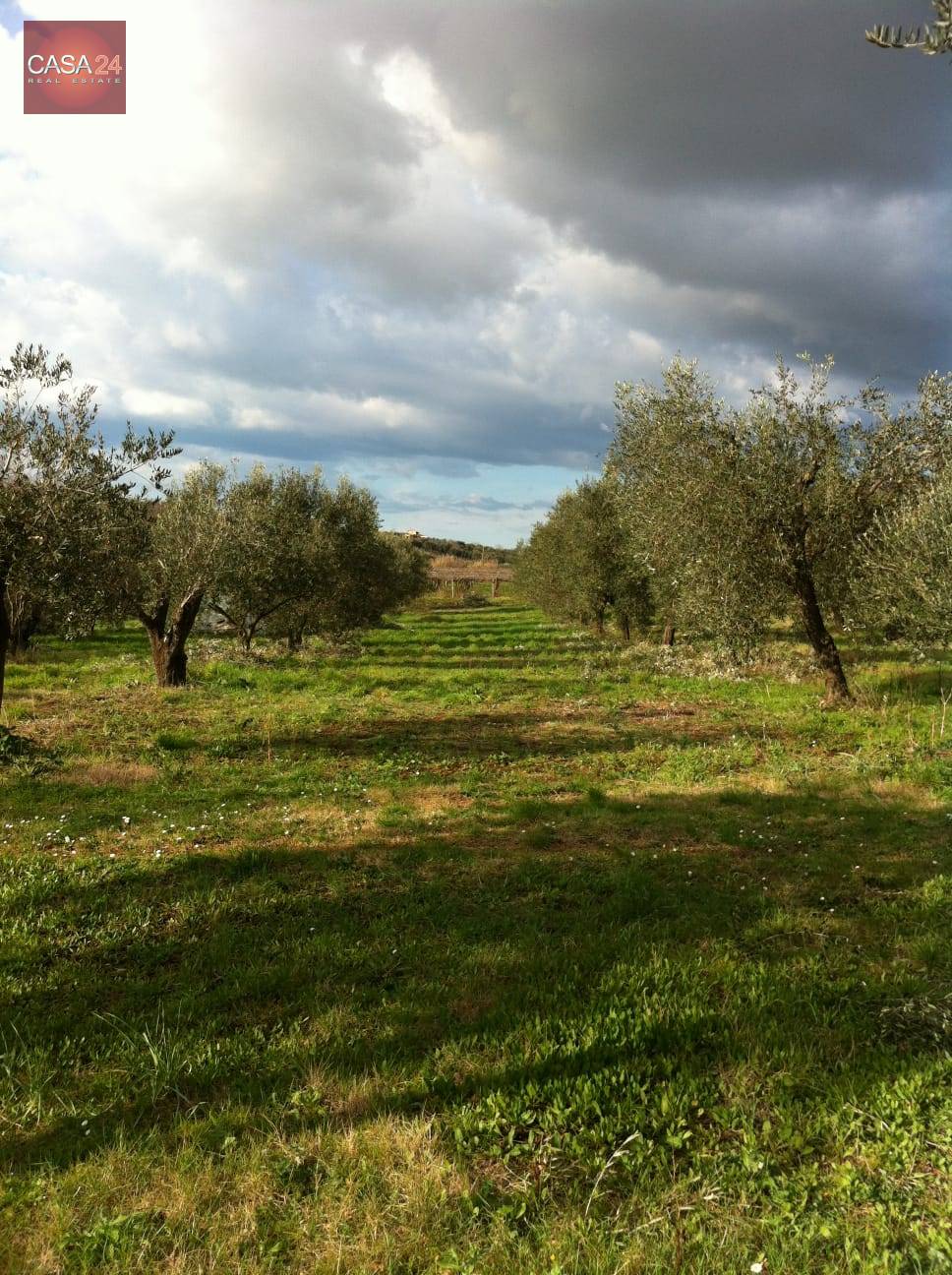 Terreno Agricolo in vendita a Cori