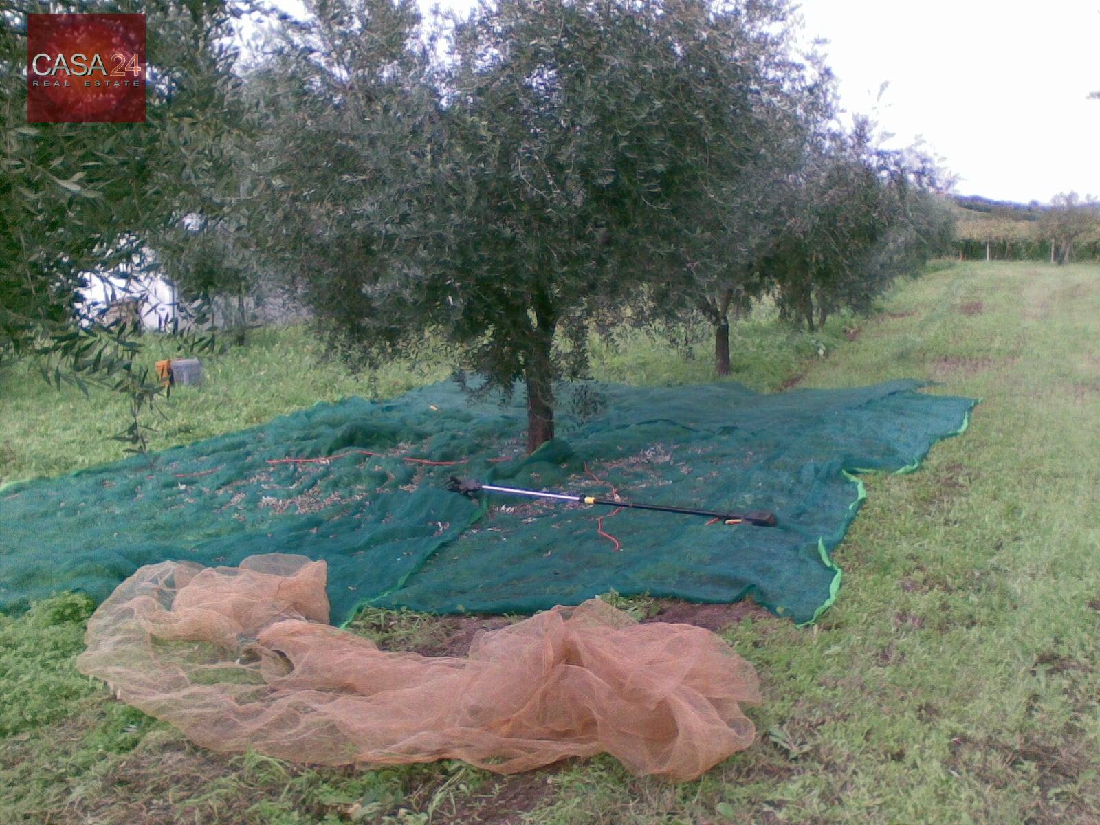 Terreno Agricolo in vendita a Cori