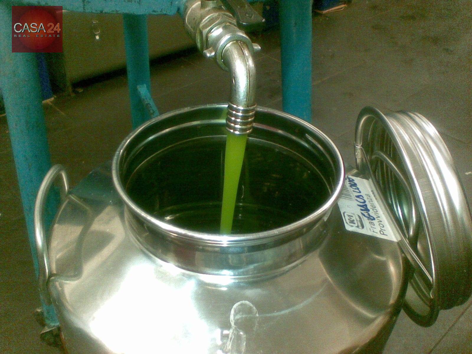 Terreno Agricolo in vendita a Cori