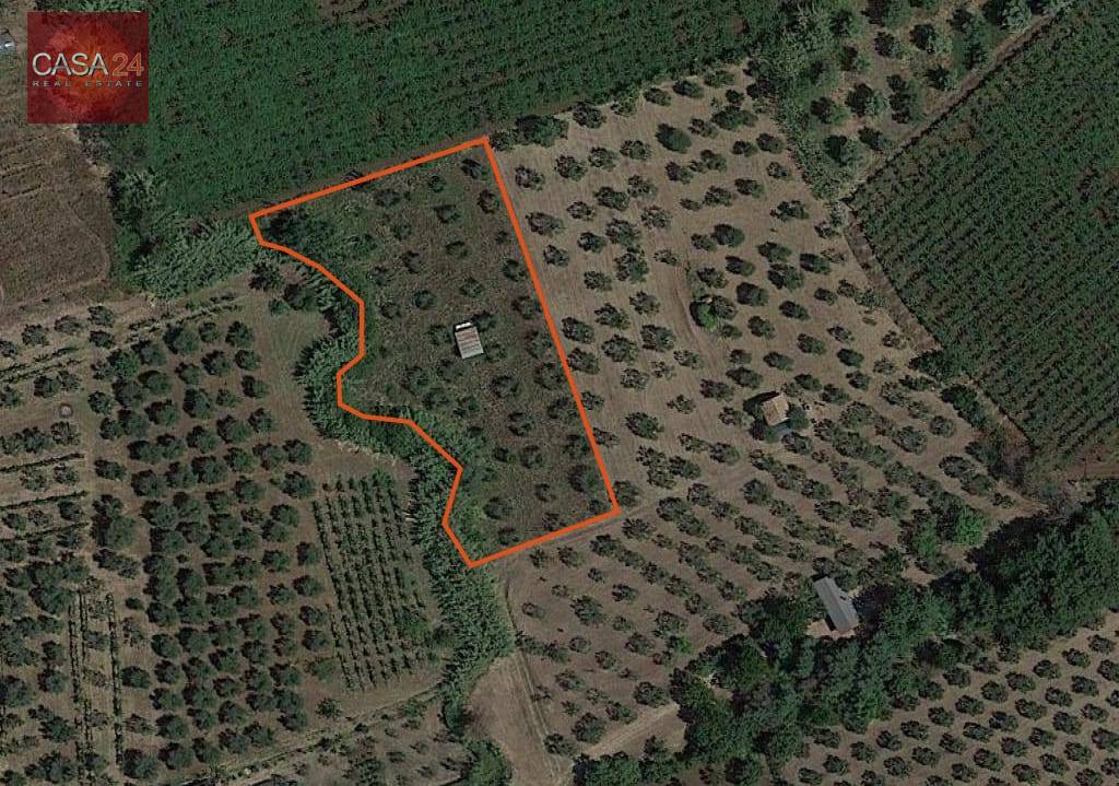 Terreno Agricolo in vendita a Cori