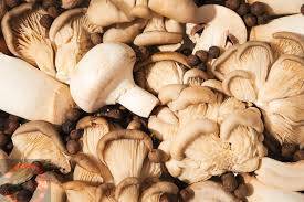 Attivit commerciale in vendita a Latina, Latina