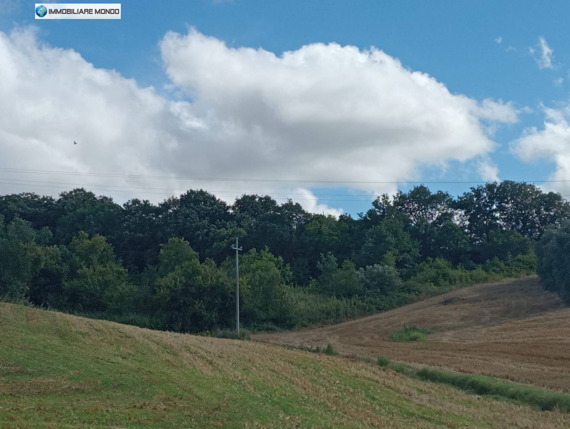 Terreno in vendita, Termoli porticone