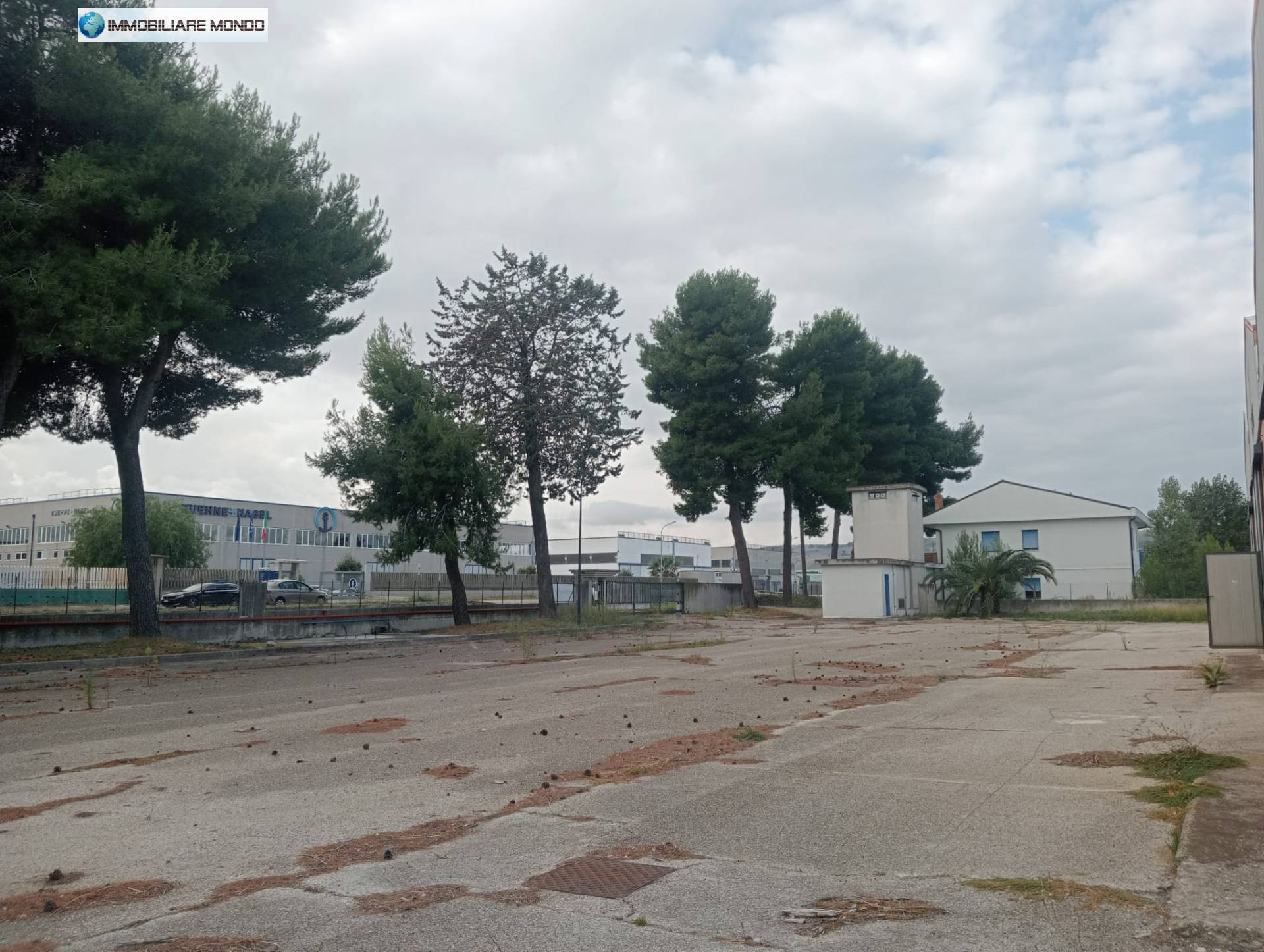 Capannone in affitto a Termoli