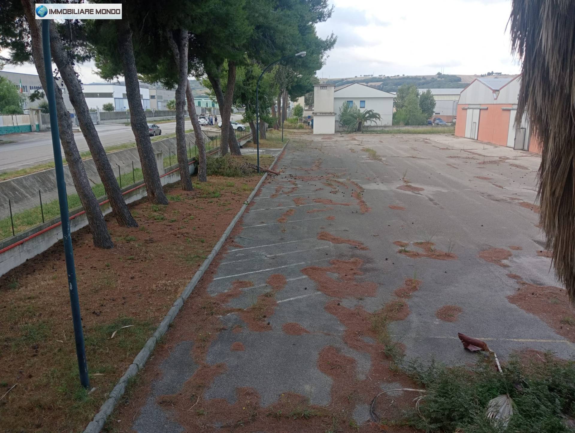 Capannone in affitto a Termoli