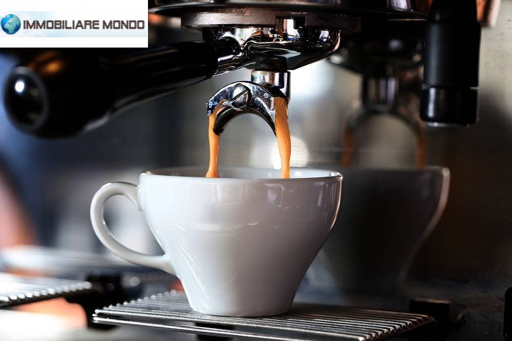 Attivit commerciale in vendita a Termoli