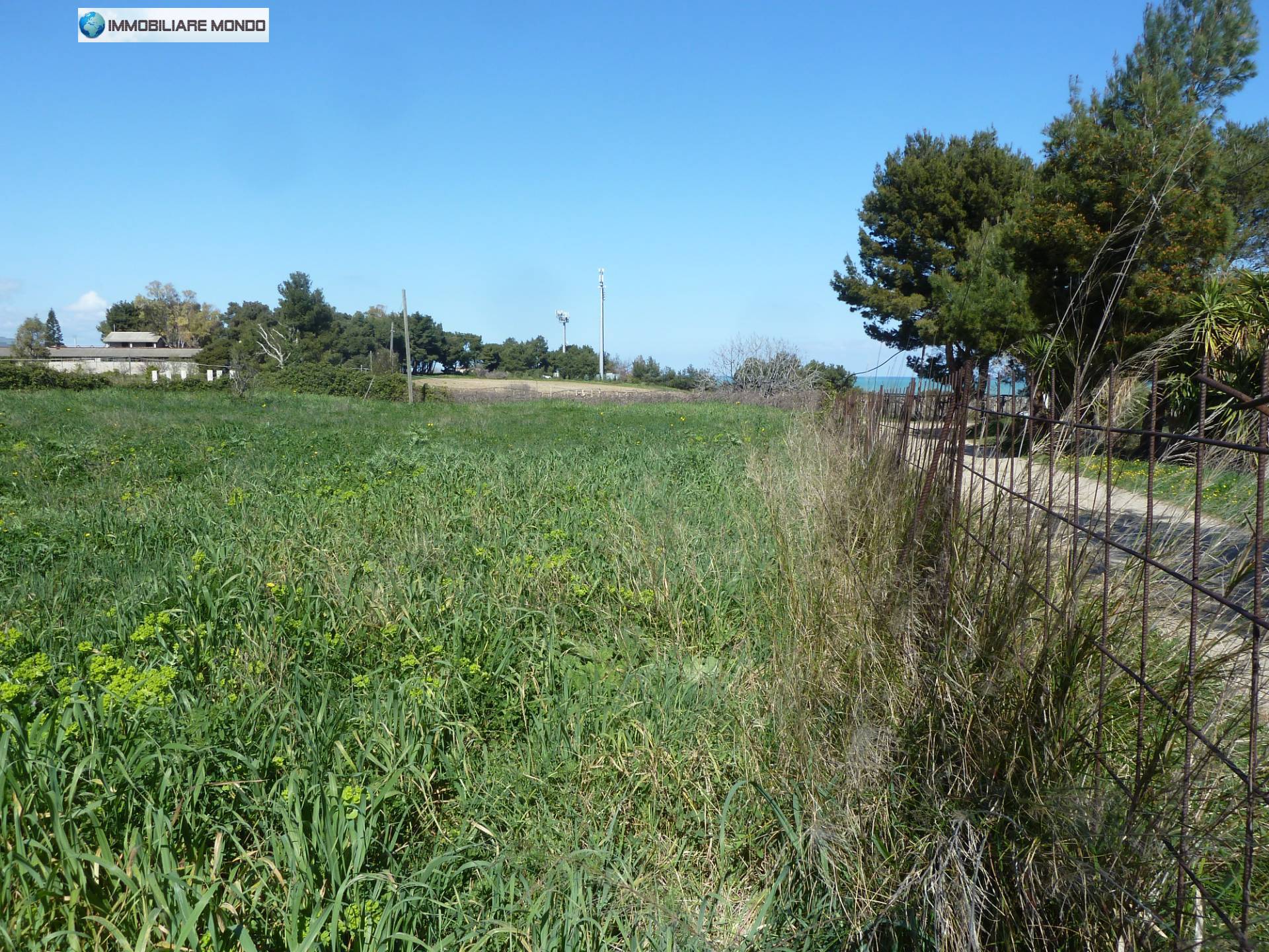 immagine annuncio 2 di 8