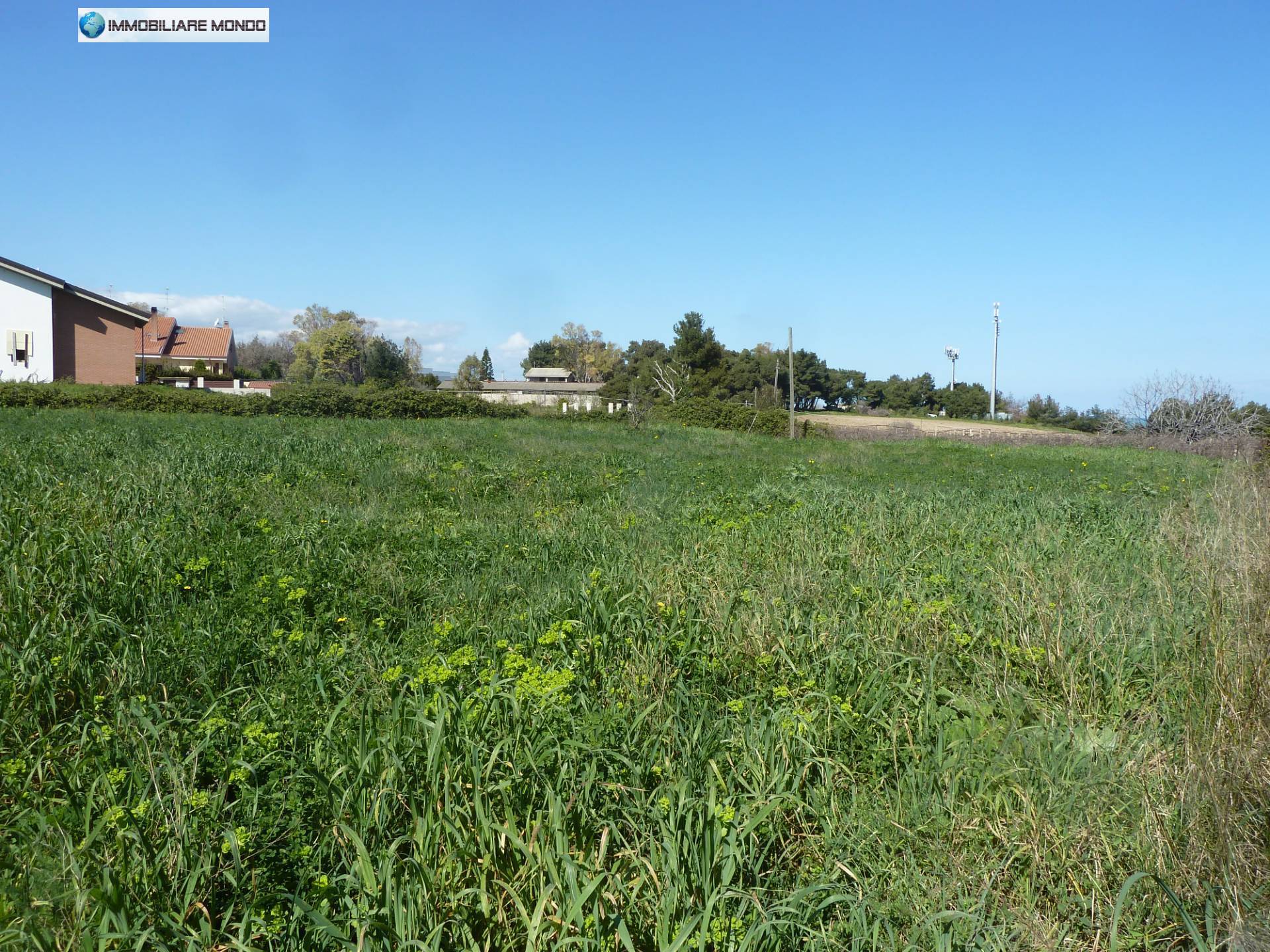 immagine annuncio 3 di 8