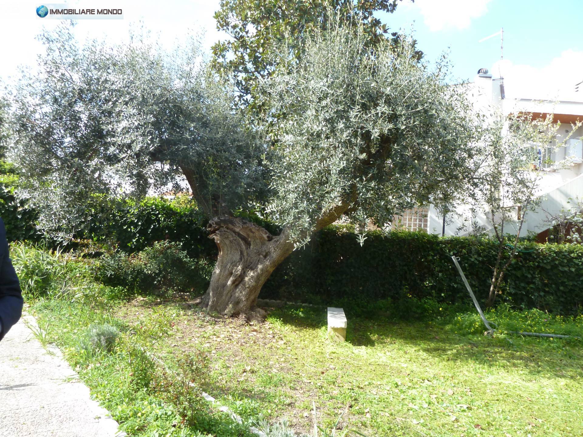 Villa in vendita a Termoli, Parco Comunale