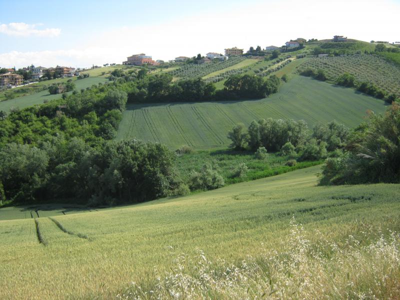 Casa singola in vendita a Colonnella