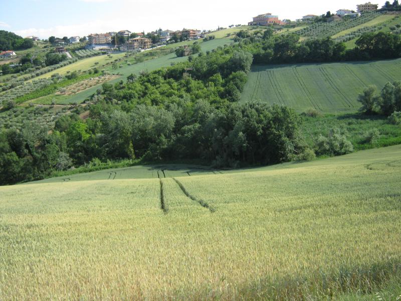 Casa singola in vendita a Colonnella