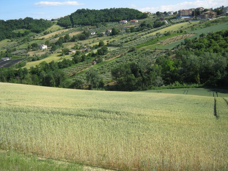 Casa singola in vendita a Colonnella