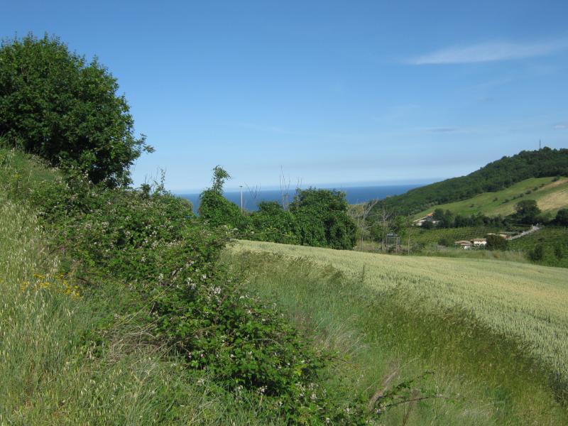 Casa singola in vendita a Colonnella