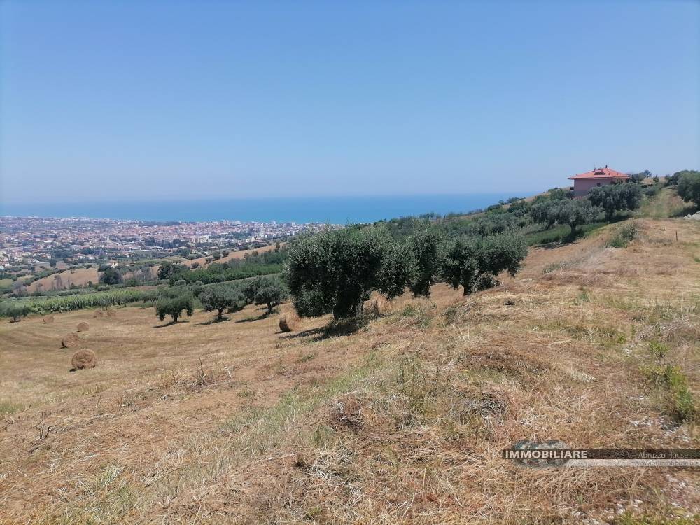 Terreno Agricolo in vendita a Tortoreto, Tortoreto Alta