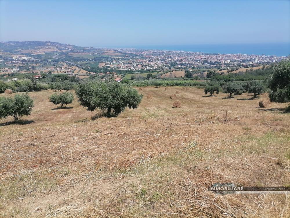 Terreno Agricolo in vendita a Tortoreto, Tortoreto Alta