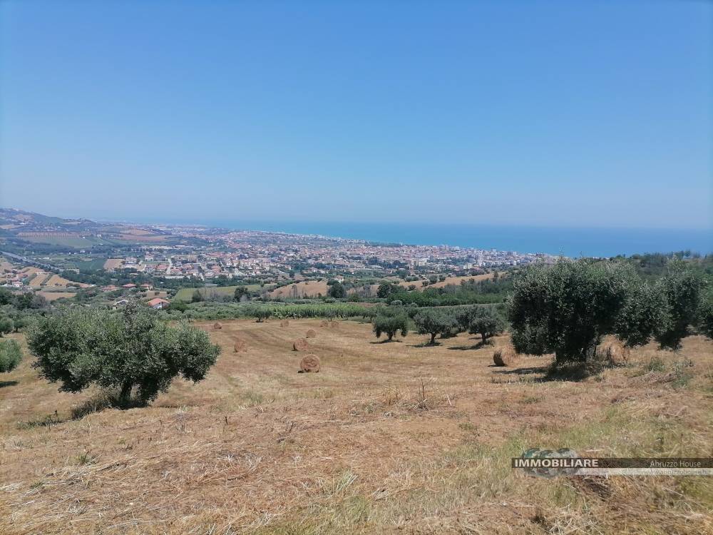 Terreno Agricolo in vendita a Tortoreto, Tortoreto Alta