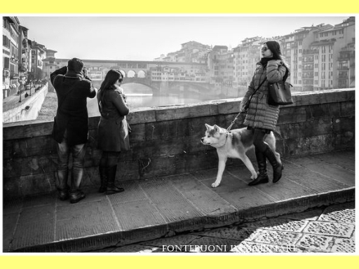 Attivit commerciale in vendita a Pontassieve