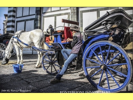 Negozio in affitto, Firenze porta san frediano-piazza santo spirito