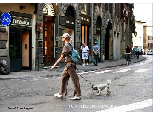 Negozio in affitto, Firenze piazza del duomo-piazza della signoria