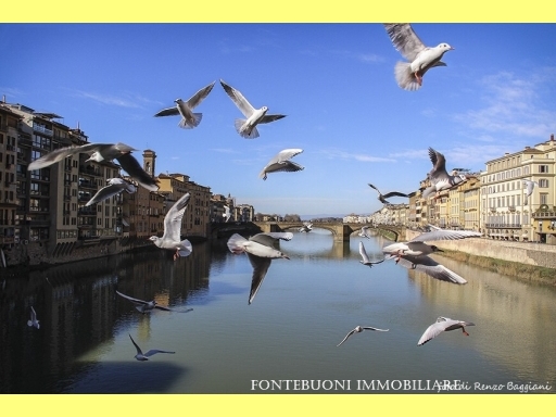 Negozio in affitto, Firenze piazza san marco-lamarmora-s.s.annunziata