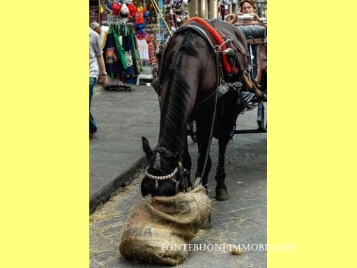 Negozio in affitto, Firenze piazza santa maria novella-piazza ognissanti
